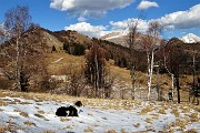 Monte VACCAREGGIO (1474 m) da Lavaggio di Dossena il 29 gennaio 2019 - FOTOGALLERY